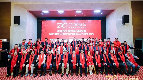 3044AM永利集团科技受邀参加深圳市平板显示行业协会（SDIA）第六届第四次理事会、第六届第三次会员大会暨二十周年庆典